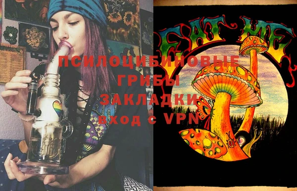 индика Приозерск